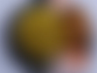 Green Masala Pulav And Kasuri Methi Masala Fried Chicken