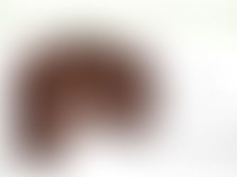 What matters most for body composition?