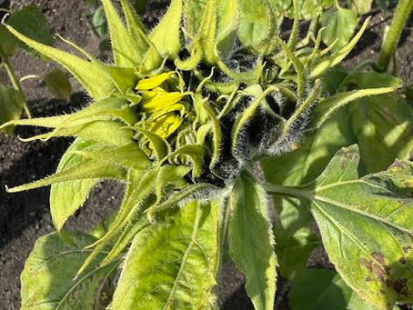 まだ慌てる時間じゃない(2023年12月20日)