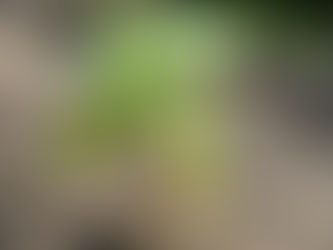 漸進(2024年9月18日)