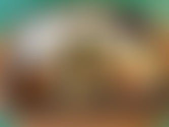 ベストバイお弁当篇(2025.10.23)