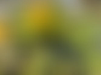 一日で一歩(2023年12月17日)