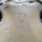 Rubber stamp