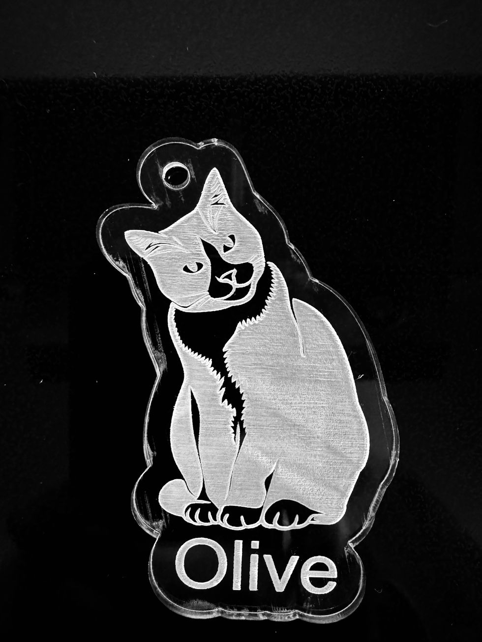 Acrylic pet ornament