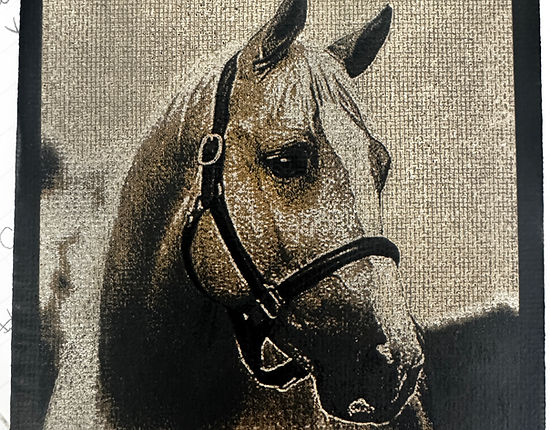 Custom engraved painted horse memorial on canvas