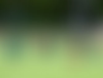 Pisteet jakoon Laaksolahdessa - Veeti Väätäiselle ensimmmäinen Kakkosen maali