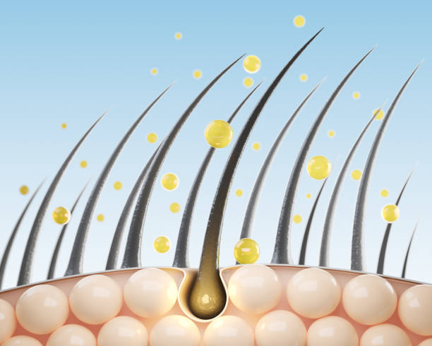 California Aesthetics | Exosome Hair Restoration Milpitas
