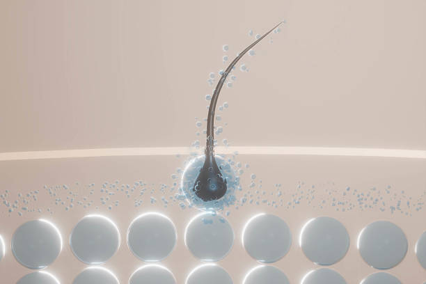 Rediscover Your Confidence: Exosome Hair Restoration at California Aesthetics, Milpitas