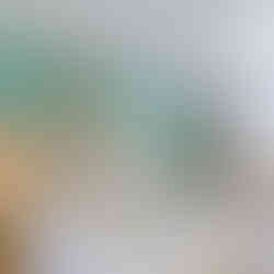 Photographie fait par un photographe pro
