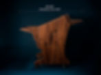 Thumbnail: The COMPANION sidecar (1bay)