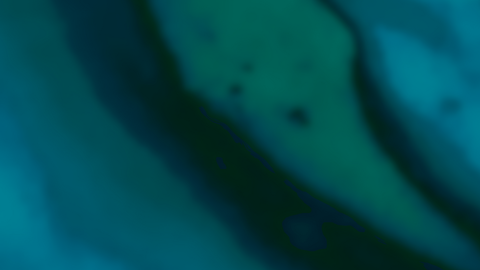 247676537_419432979592351_5842842952940820225_n.png