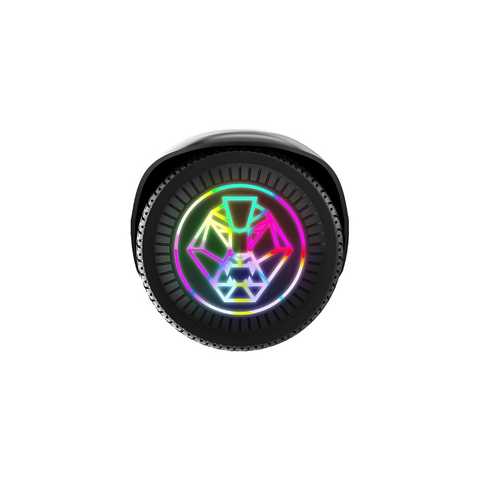 Miniatura: Hoverboard Swagtron EVO V2