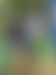 Zwei Rheinland-Pfalz-Titel für Talente von Weiss-Rot Speyer