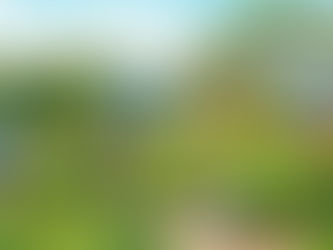 Kreative Nachhaltigkeit Projekt Ideen für eine grünere Zukunft