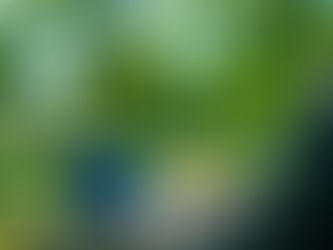 Produktivität unterwegs: Wie das mobile Büro Ihre Arbeitsweise revolutioniert
