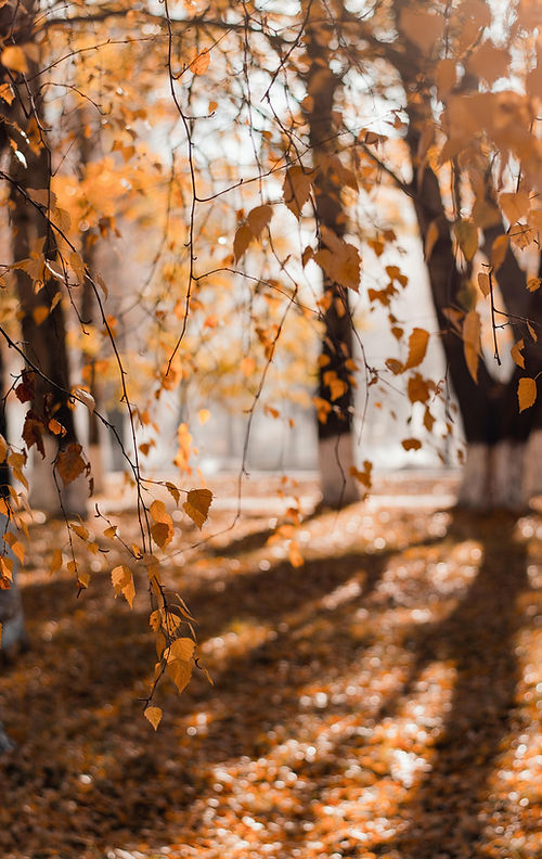ES_leaves.jpg