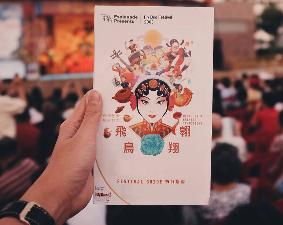 Fly Bird Festival Celebration