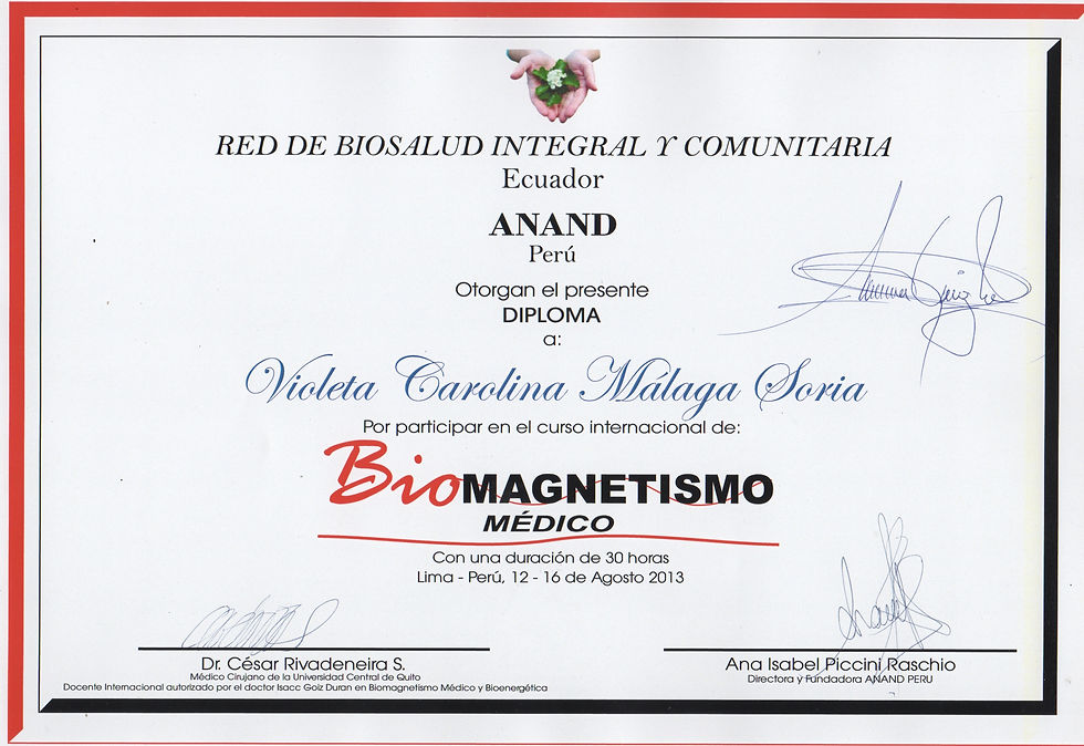 Biomagnetismo