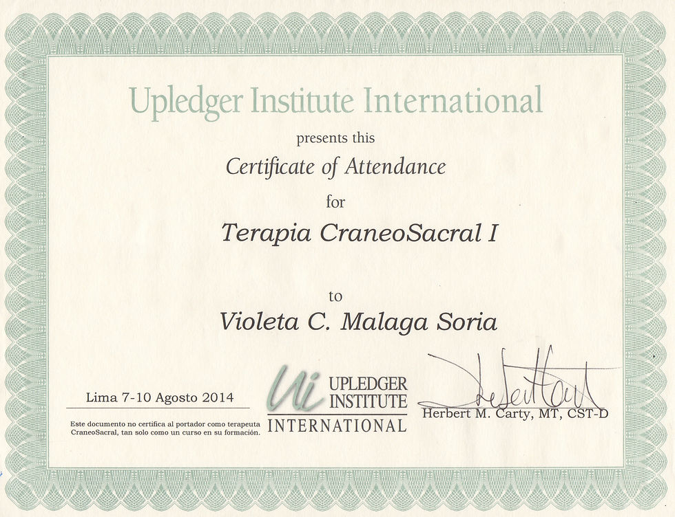 CraneoSacral Nivel I