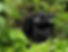 UGE2701