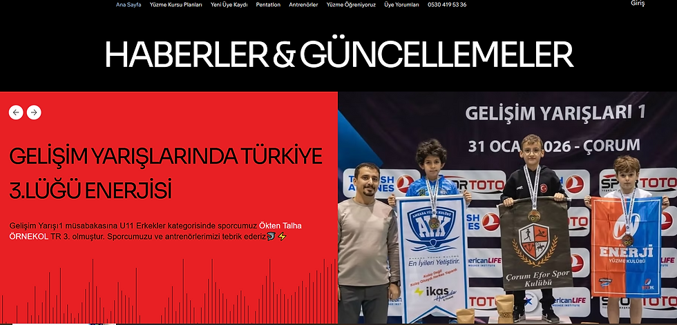 WIX websitesi geliştirici