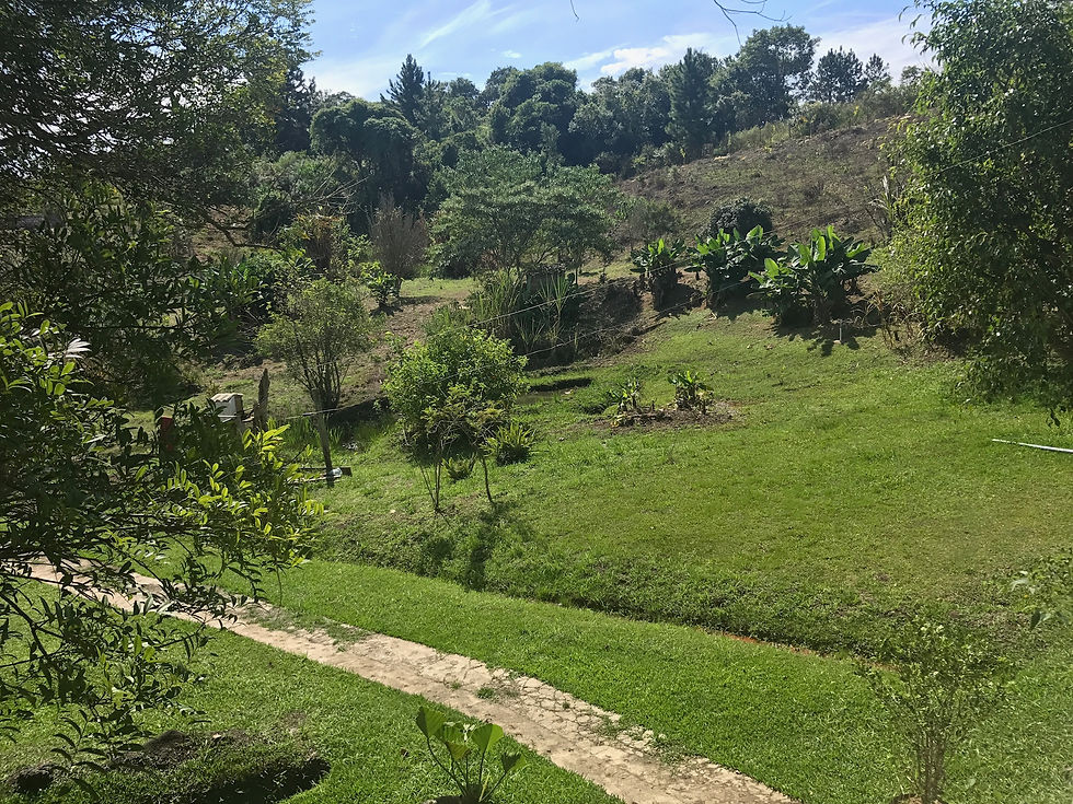 0176eb30ac686d6a646fdba7615ca3f092c416dd92