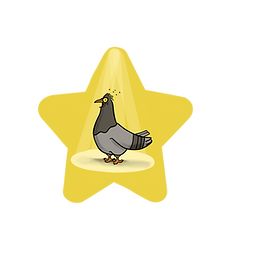 Cover_Stars.png