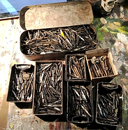 NIBS WORLD 01 - rowson nibs.png