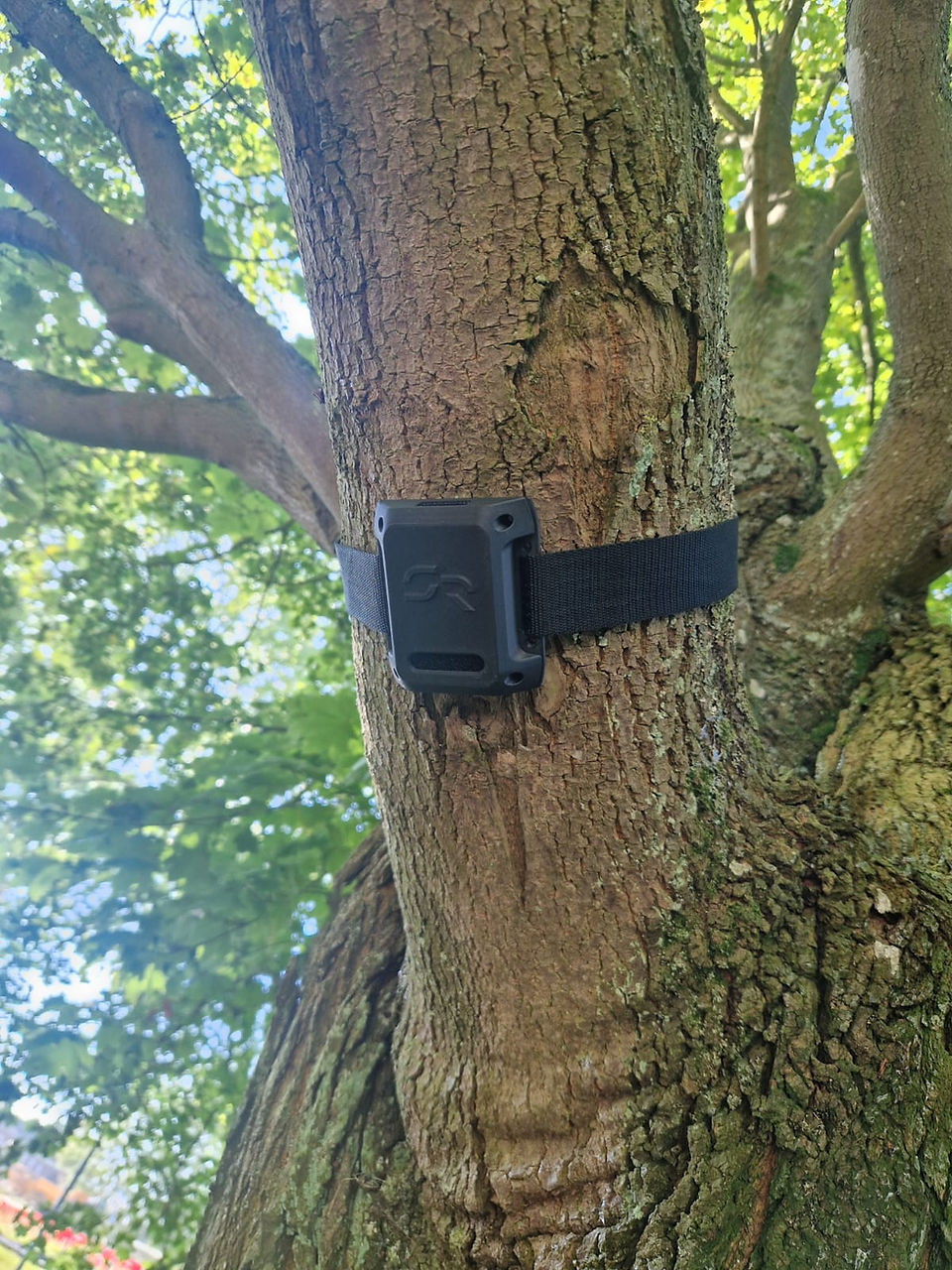 Small black box, with SR printed on the front attached to a tree with a black cord