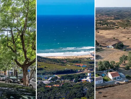 Lisbon, the Atlantic and the Alentejo are within an hour or two of each other, and they ask for completely different holidays.