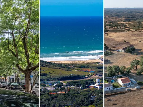 Lisbon, the Atlantic and the Alentejo are within an hour or two of each other, and they ask for completely different holidays.