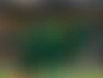 Amical: Le Sénégal impose sa loi (2-0) au Pérou à Sanit Dénis