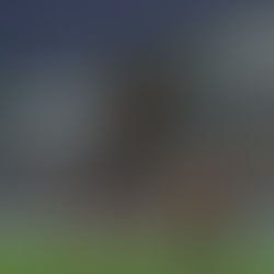 Ismaila Sarr marque, mais l'OM partage le point du nul à la Beaujoire avec le FC Nantes.