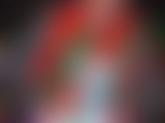 Ama Baldé confiant, promet la couronne de Roi des arènes aux pikinois.