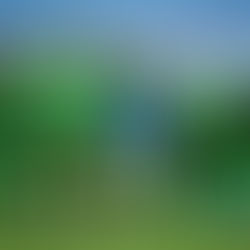 LSPF - Ligue 2 : Essamaye champion de la phase aller