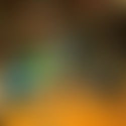 Basket-Ligue Sénégal: La Fédération Sénégalaise de Basketball a dévoilé les différentes poules pour la saison 2024 de N1 Masculin.