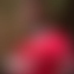 Foot - Mercato: Sérigne Faye s'engage avec le FC Rouen pour deux saisons et demi