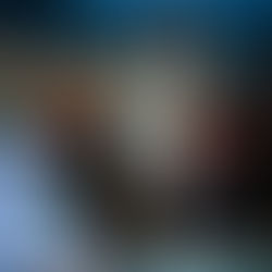 Africa Women's Basketball League : Les Lionnes débutent bien avec l'Alexendria Sporting Club.