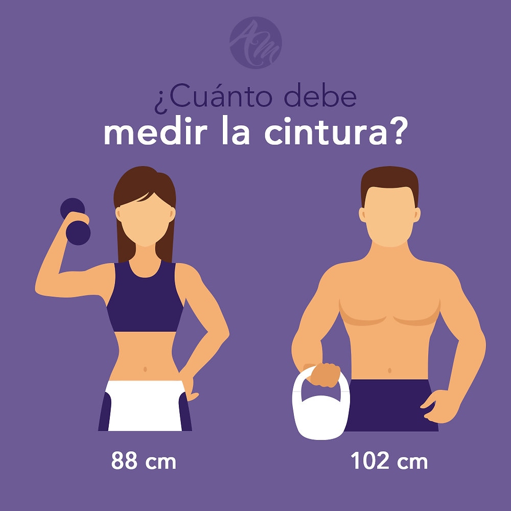 ¿Cuanto debe medir la cintura?