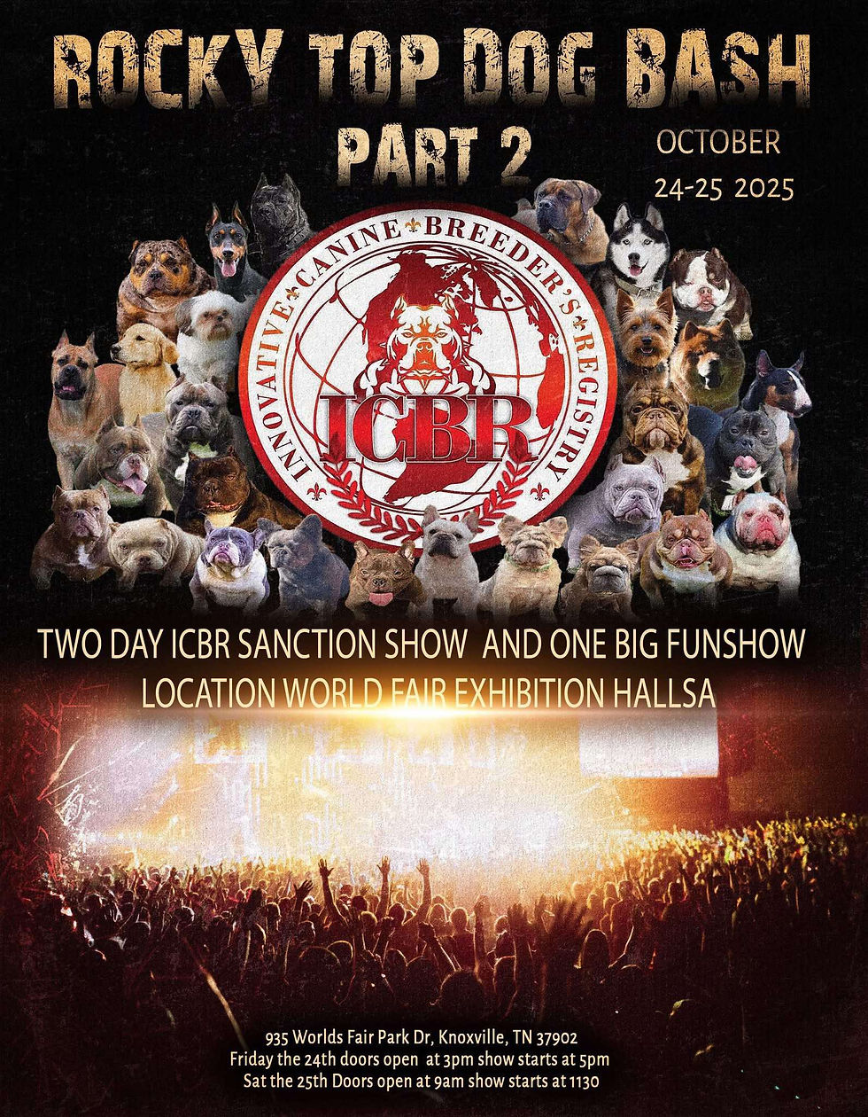 Rocky Top Dog Bash Part 2