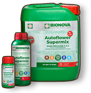 Bionova Autoflower