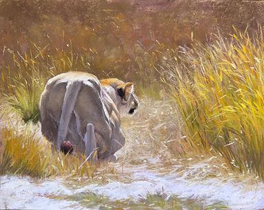 CatCrawl copy.jpg