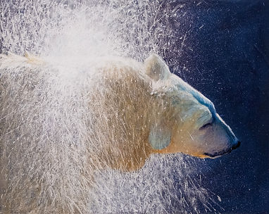 LisaGleim-ShakeItUp-Pastel-16x20.jpg