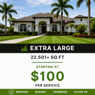 XL Lawn.png