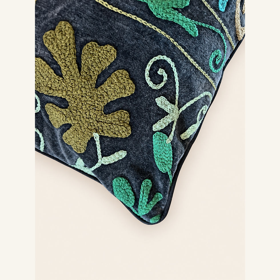 Coussin indien rectangulaire en velours brodé vu de détail
