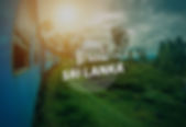 banners3.jpg