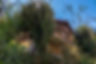 VIC00923.jpg
