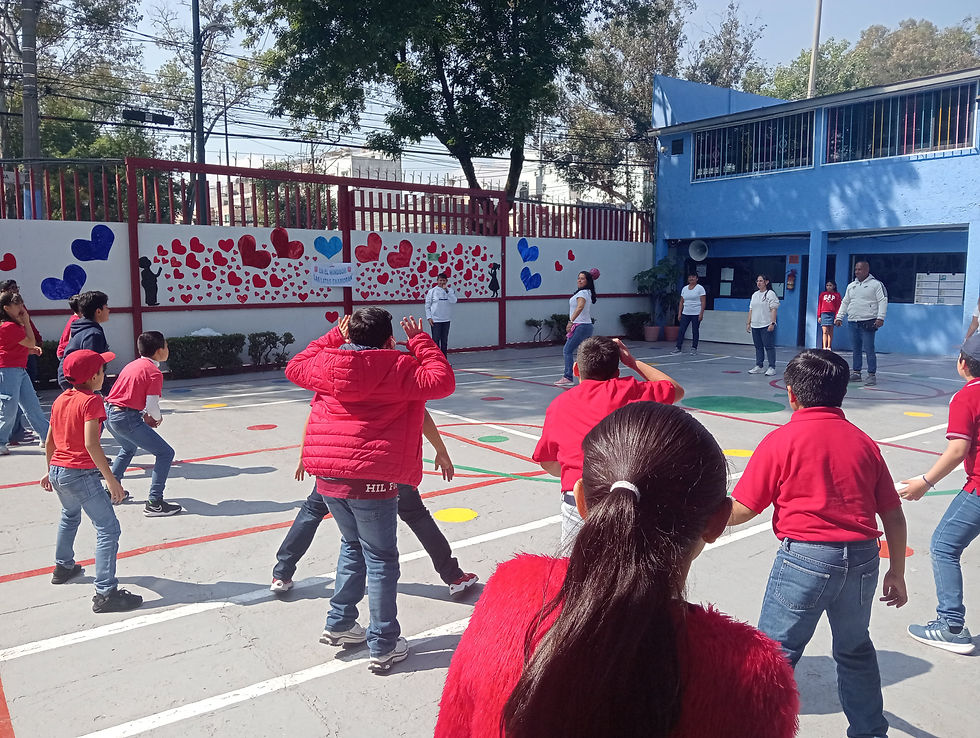 IMG20250214105558
