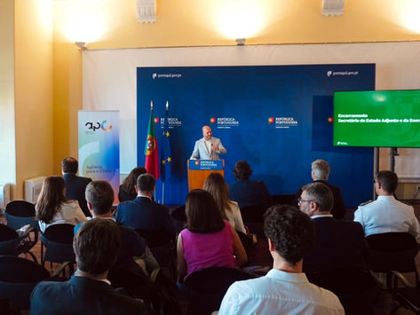 DGPM participa em estudo dedicado à Energia Eólica Offshore