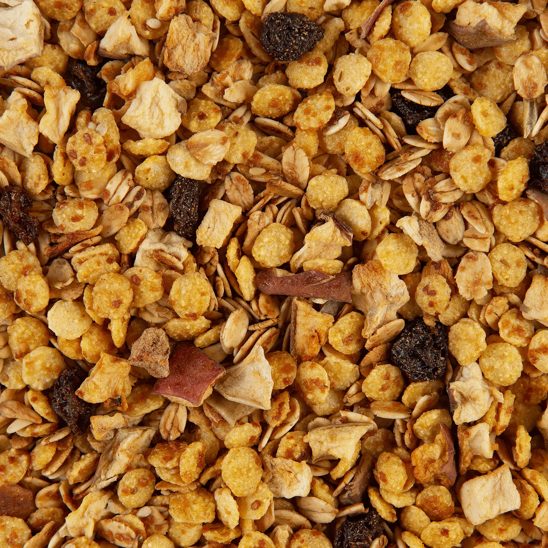 GRANOLA LIGTH-100g